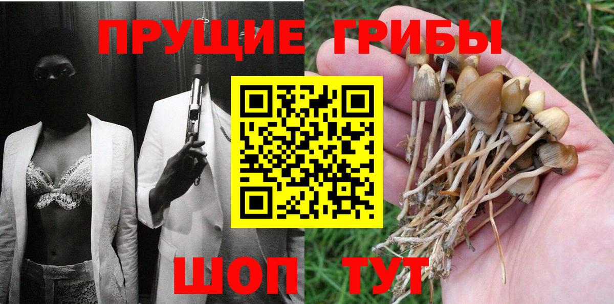 Псилоцибиновые грибы мухоморы  закладки  Сорочинск  Вход с VPN 